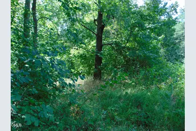0 Highway 86, Yanceyville, NC 27379 - Photo 14