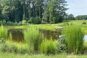 11500 Old Stage Rd, Willow Springs, NC 27592 - Photo 60