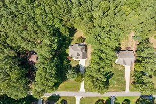 533 Birdsong Ln, Hurdle Mills, NC 27541 - Photo 38