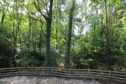 408 Drolmond Drive, Raleigh, NC 27615 - Photo 22