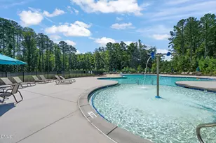 163 Annabelle Branch Ln, Apex, NC 27523 - Photo 60