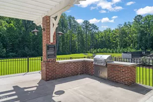 163 Annabelle Branch Ln, Apex, NC 27523 - Photo 62