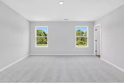 224 Blossom Field Way, Angier, NC 27501 - Photo 16