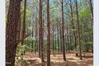 850 Clarence Phillips Road, Bennett, NC 27208 - Photo 6