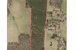 850 Clarence Phillips Rd, Bennett, NC 27208 - Photo 1