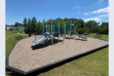 220 Blossom Field Way, Angier, NC 27501 - Photo 22
