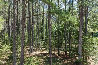 14033 Bold Run Hill Road, Wake Forest, NC 27587 - Photo 56