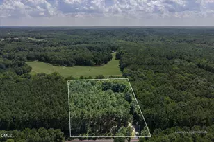 14033 Bold Run Hill Rd, Wake Forest, NC 27587 - Photo 48