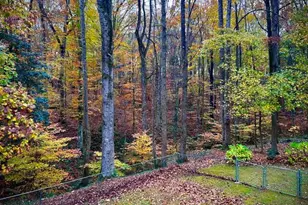 14033 Bold Run Hill Rd, Wake Forest, NC 27587 - Photo 60