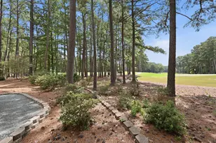 177C Traceway N, Sanford, NC 27332 - Photo 48