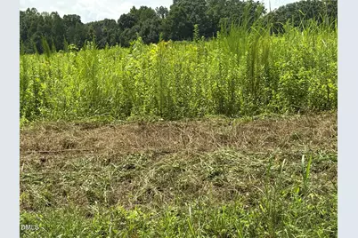 Lot 5 Oak Grove Church Road, Mebane, NC 27302 - Photo 2
