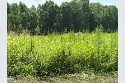 Lot 5 Oak Grove Church Road, Mebane, NC 27302 - Photo 1