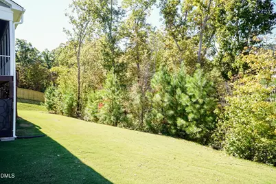 1009 Crescent Moon Court, Durham, NC 27712 - Photo 26