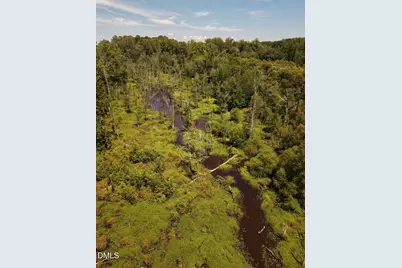 (Tract C) Brassfield Road, Creedmoor, NC 27522 - Photo 8