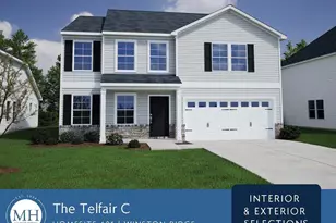 17 Mistflower Dr, Youngsville, NC 27596 - Photo 4
