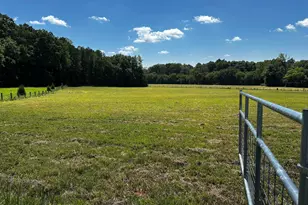6061 River Run Trl, Graham, NC 27253 - Photo 1