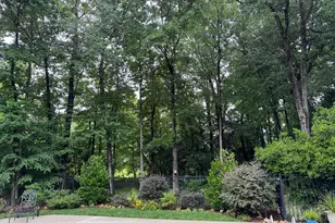 5412 Catmint Ct, Holly Springs, NC 27540 - Photo 48