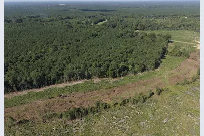 1941 Walter Bright Road Road, Sanford, NC 27330 - Photo 2