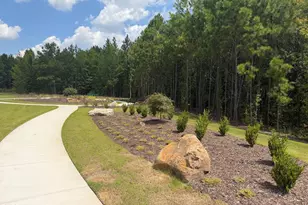 9041 Hazy Jade Wy, Apex, NC 27523 - Photo 26