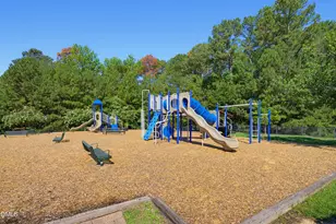 310 Castle Hayne Dr, Cary, NC 27519 - Photo 50