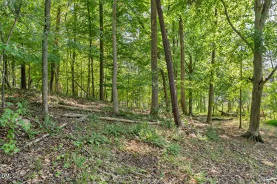 Lot 4 Wild Turkey Drive, Semora, NC 27343 - Photo 4