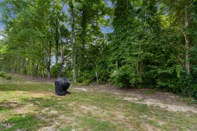 97 Chris Todd Way, Angier, NC 27501 - Photo 18