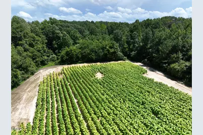 Lot 2 River Run Road, Selma, NC 27576 - Photo 18