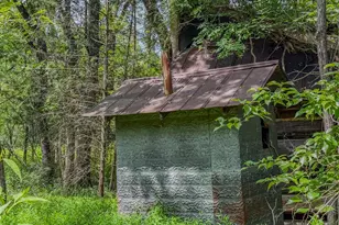 201 Briggs Rd, Hurdle Mills, NC 27541 - Photo 42