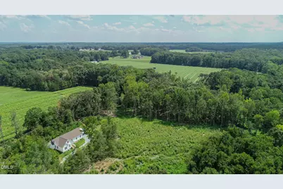 201 Briggs Road, Hurdle Mills, NC 27541 - Photo 8