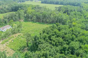 201 Briggs Rd, Hurdle Mills, NC 27541 - Photo 40