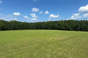 2822 Little River Church Rd, Hurdle Mills, NC 27541 - Photo 66
