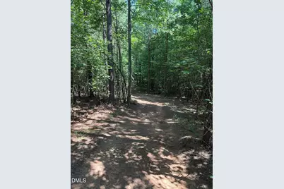 2822 Little River Church Road, Hurdle Mills, NC 27541 - Photo 66