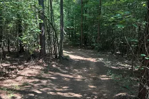 2822 Little River Church Rd, Hurdle Mills, NC 27541 - Photo 66