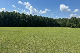 2822 Little River Church Rd, Hurdle Mills, NC 27541 - Photo 64