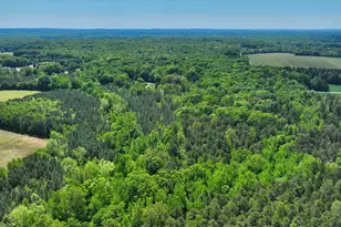 2822 Little River Church Rd, Hurdle Mills, NC 27541 - Photo 40