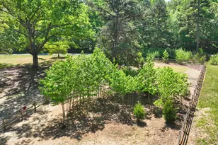 2822 Little River Church Rd, Hurdle Mills, NC 27541 - Photo 64
