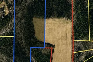 2822 Little River Church Rd, Hurdle Mills, NC 27541 - Photo 68