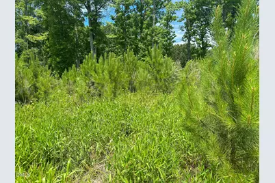 3375 Bonlee Bennett Road, Siler City, NC 27344 - Photo 10