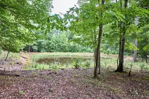 3710 Buckhorn Rd, Efland, NC 27243 - Photo 6