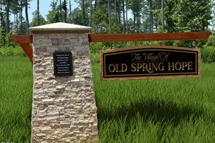 Lot 24 River Meadow Ct, Spring Hope, NC 27882 - Photo 20