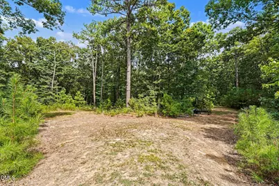 Tbd Reno Sharps Store Road, Bear Creek, NC 27207 - Photo 6