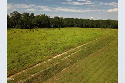 (Tract B) Brassfield Road, Creedmoor, NC 27522 - Photo 12