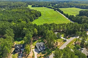 245 Purslane Dr, Franklinton, NC 27525 - Photo 48