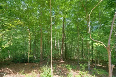 4016 Ebenezer Church Road, Raleigh, NC 27612 - Photo 54