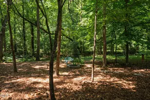 4305 Taylor Hall Pl, Chapel Hill, NC 27517 - Photo 54