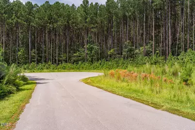 586 Anneliis Lane, Siler City, NC 27344 - Photo 2