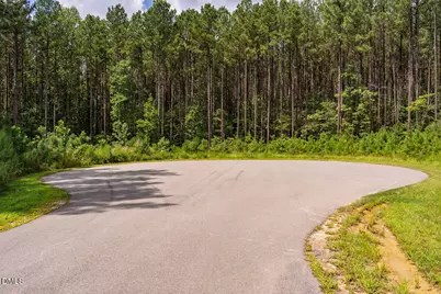 586 Anneliis Lane, Siler City, NC 27344 - Photo 4