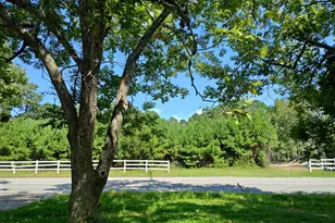 152 Clay Hill Rd, Sneads Ferry, NC 28460 - Photo 2