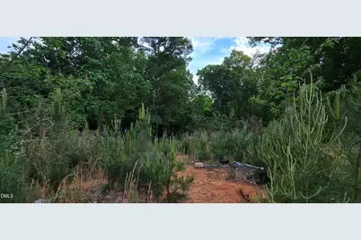 6530 Treetop Court, Snow Camp, NC 27349 - Photo 2