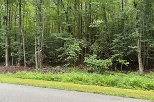 118 Souix Dr, Louisburg, NC 27549 - Photo 1